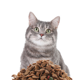 Image of Cute gray tabby cat and pile of dry food on white background. Lovely pet