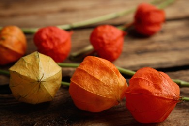 Physalis branches with colorful sepals on wooden table, closeup
