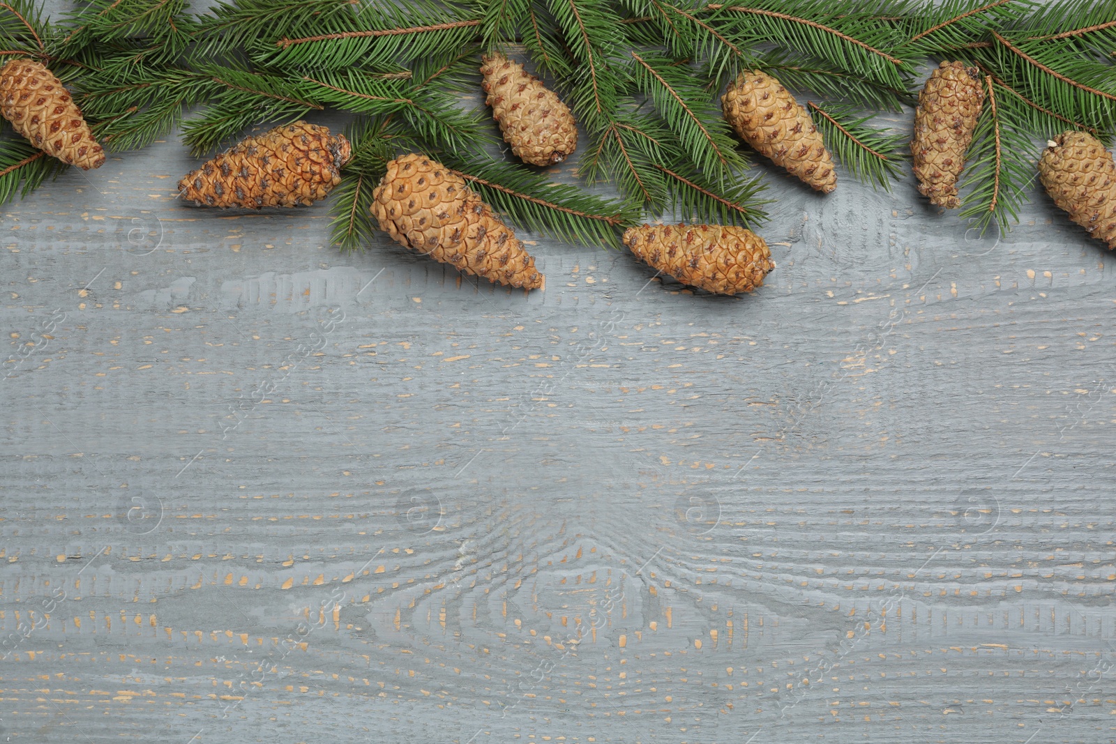 Photo of Flat lay composition with pinecones on grey wooden table, space for text