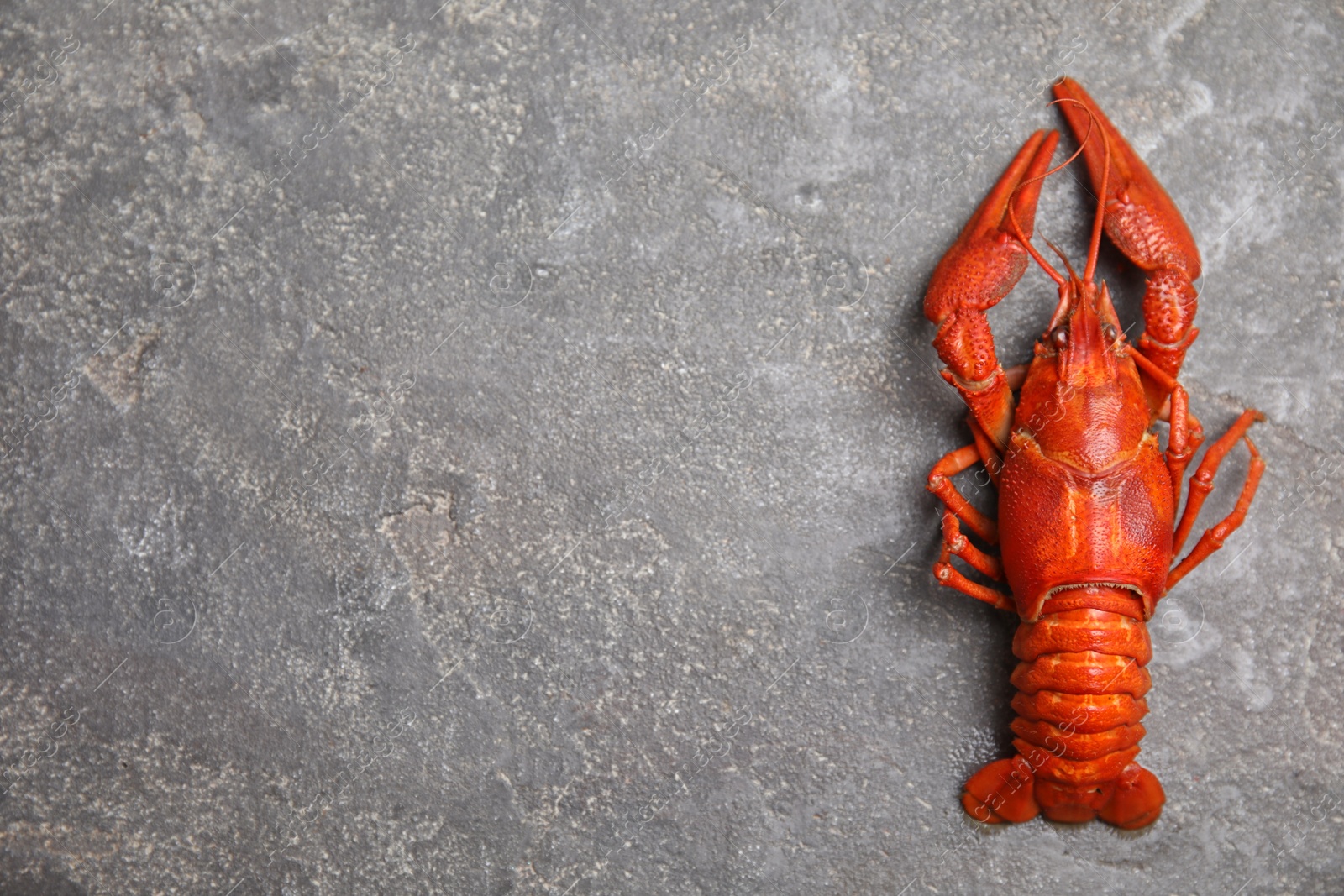 Photo of Delicious boiled crayfish on grey table, top view. Space for text