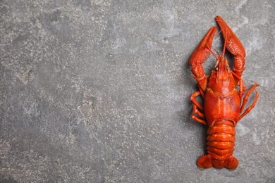 Delicious boiled crayfish on grey table, top view. Space for text