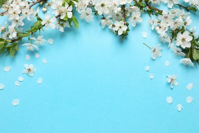 Photo of Blossoming spring tree branches as border on turquoise background, flat lay. Space for text