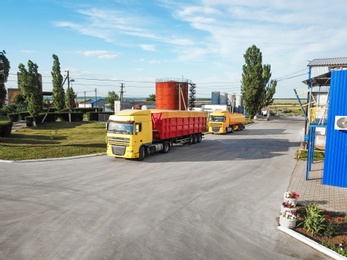 Modern bright trucks parked on country road