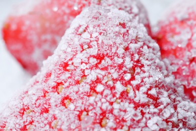 Photo of Strawberry covered with hoarfrost, macro view. Frozen berry