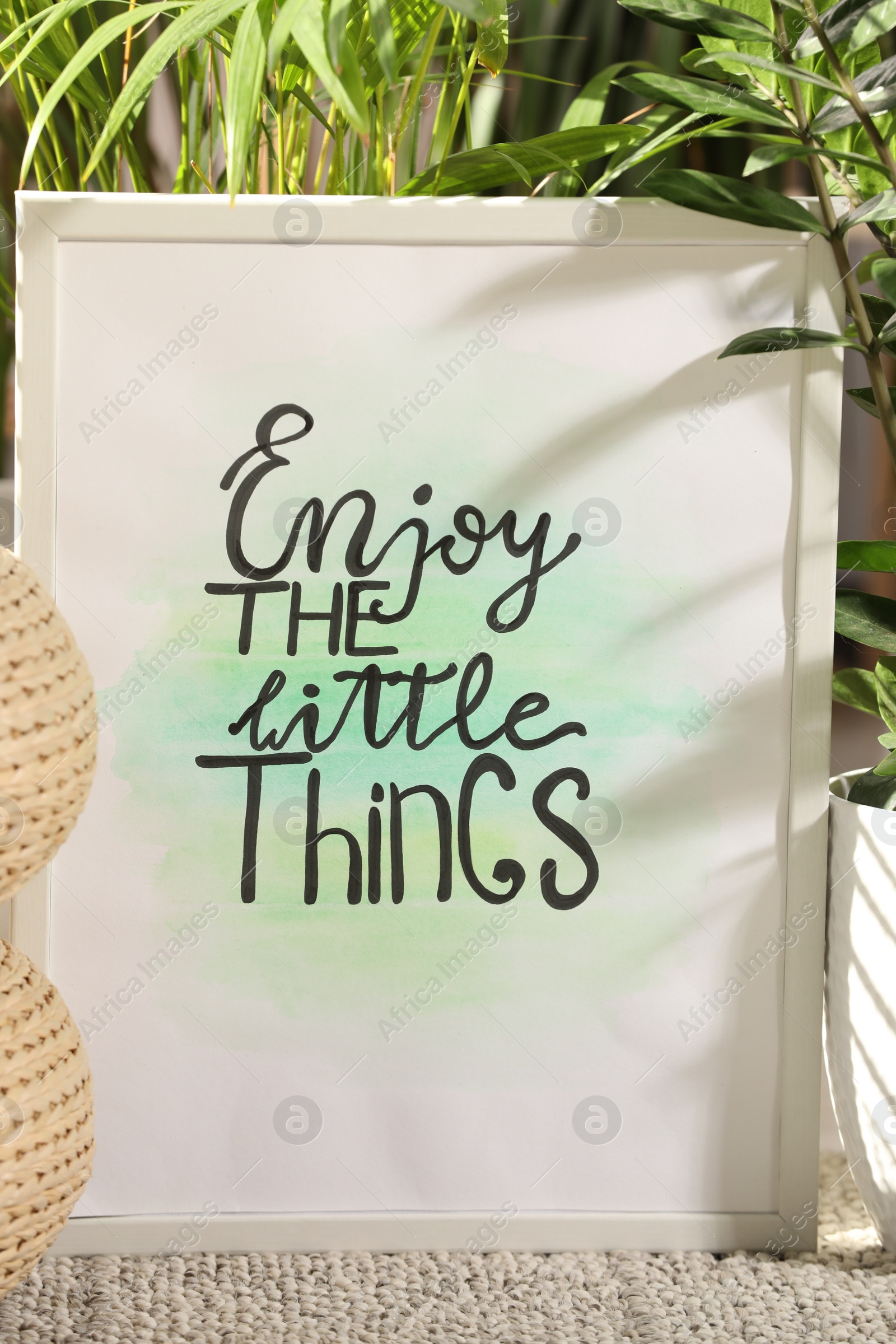 Photo of Frame with words Enjoy The Little Things near houseplants on carpet