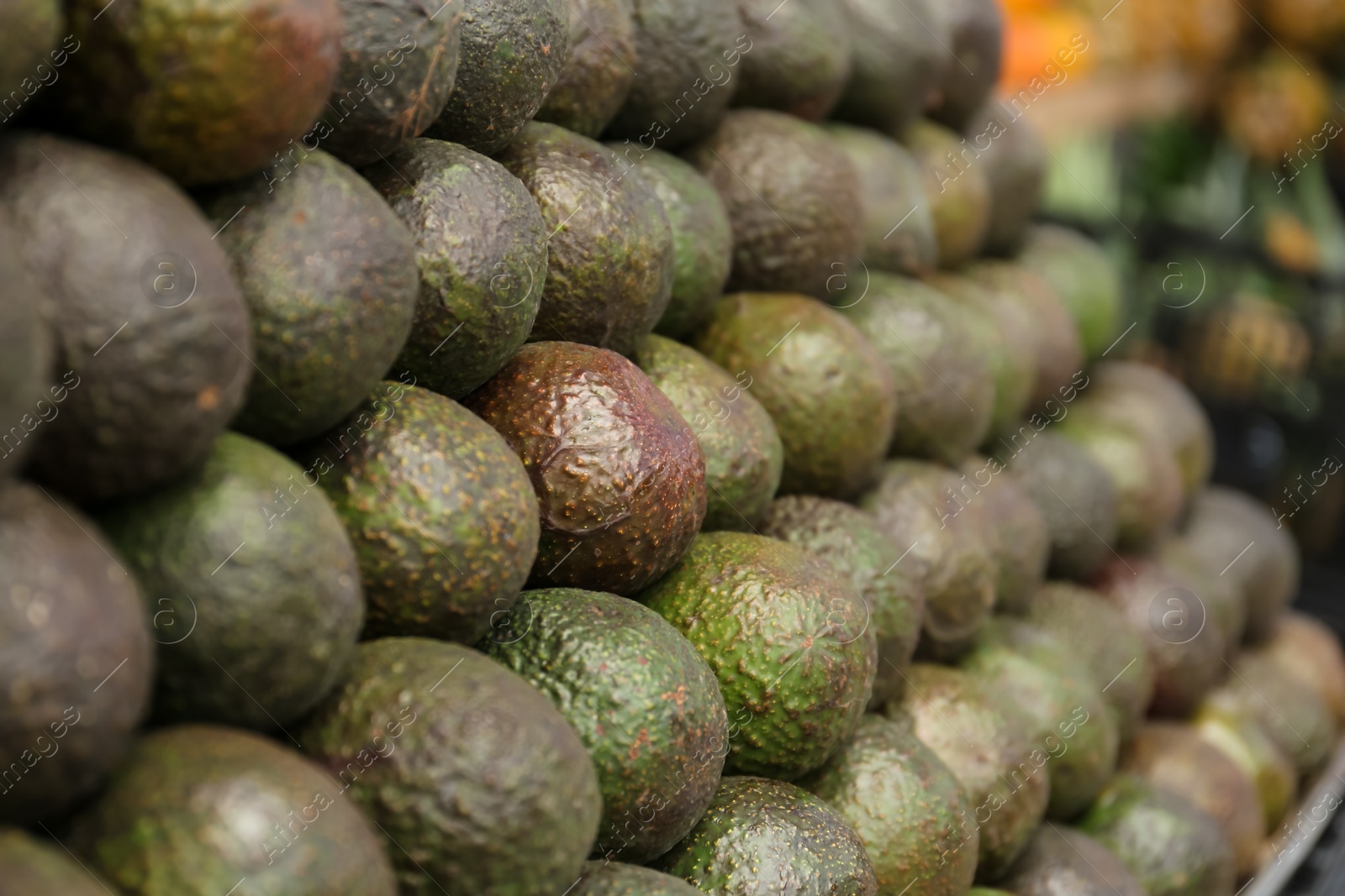 Photo of Pile of delicious fresh ripe avocados at market