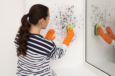 Woman in rubber gloves removing mold from window slope with brush in room