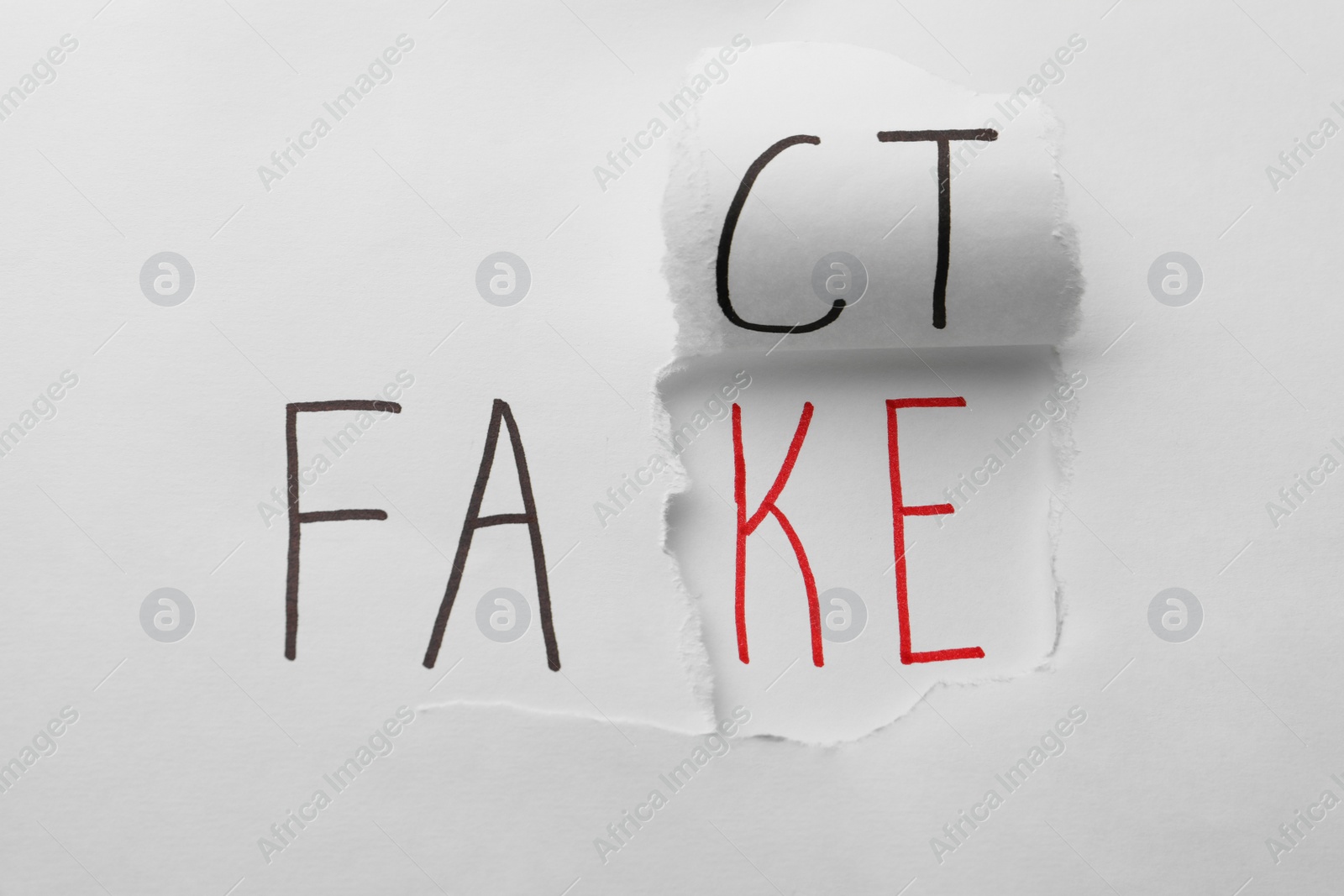 Photo of Torn white paper with words Fact and Fake, top view