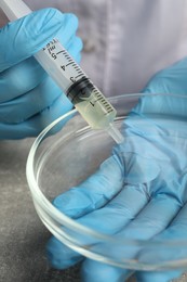 Photo of Doctor dripping urine from syringe into petri dish at grey table, closeup