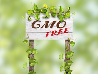 Image of Wooden sign with phrase GMO free and green leaves outdoors