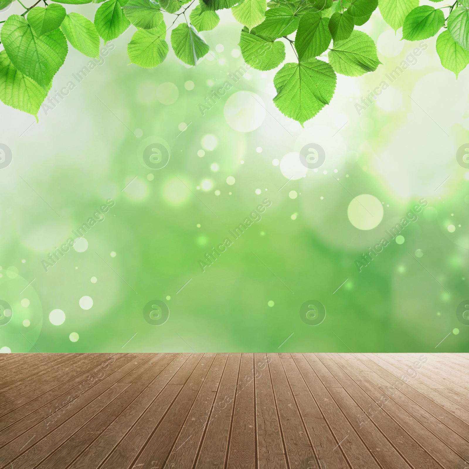 Image of Empty wooden surface and beautiful green leaves on blurred background. Bokeh effect