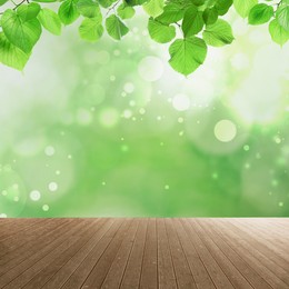 Empty wooden surface and beautiful green leaves on blurred background. Bokeh effect