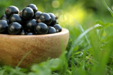 Ripe blackcurrants in bowl on green grass, closeup. Space for text