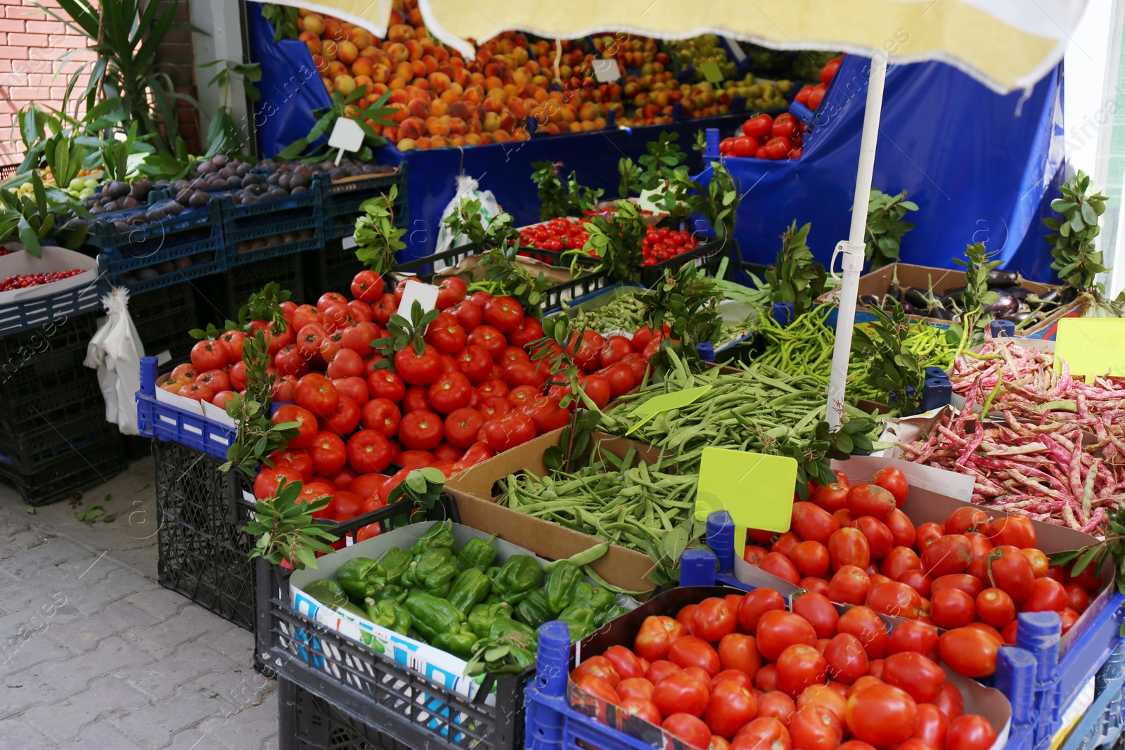 Photo of Plastic crates with delicious vegetables at market