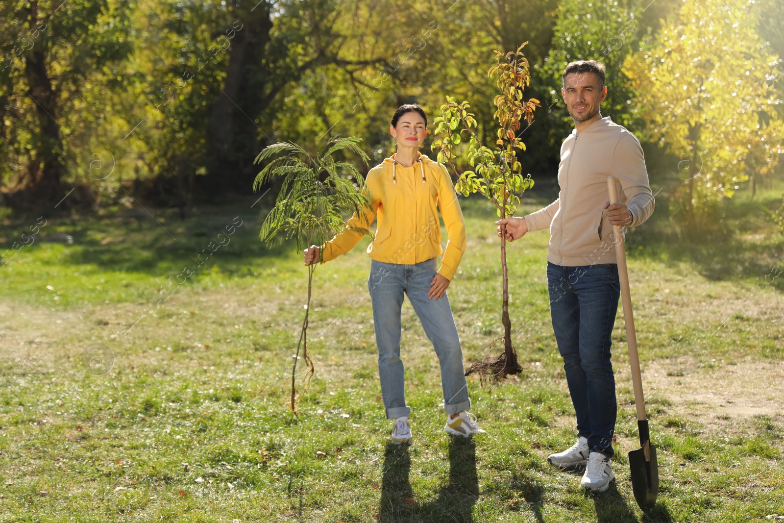 Photo of People with saplings and shovel in park on sunny day.  Planting tree