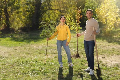 Photo of People with saplings and shovel in park on sunny day.  Planting tree