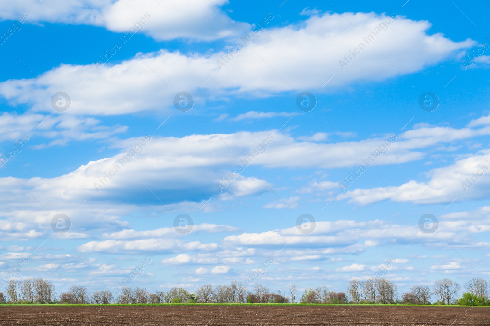 Photo of Picturesque view of agricultural field on cloudy day