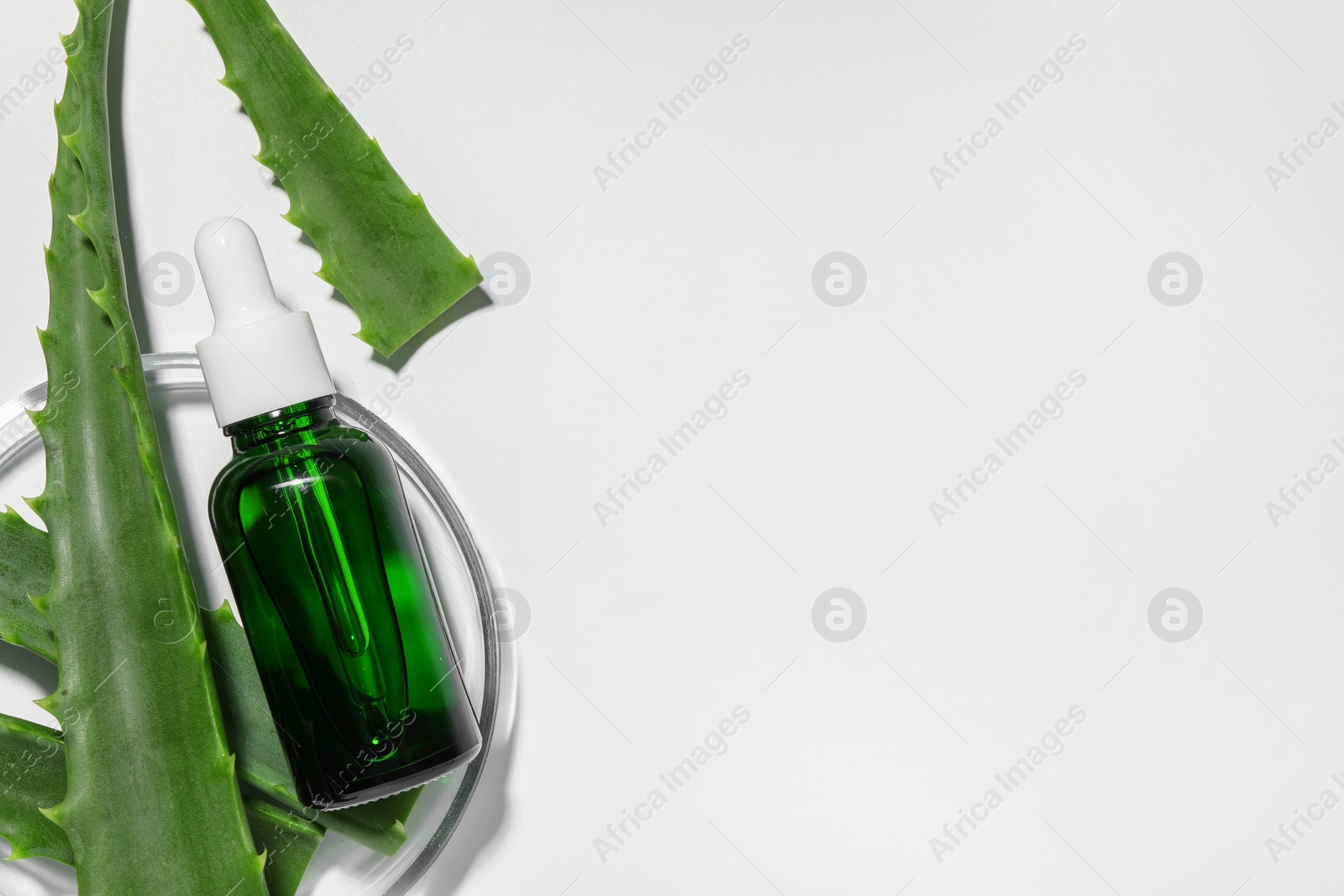 Photo of Petri dish with cosmetic product and aloe vera leaves on white background. Space for text