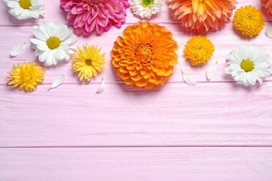 Photo of Flat lay composition with beautiful dahlia flowers and space for design on pink wooden background