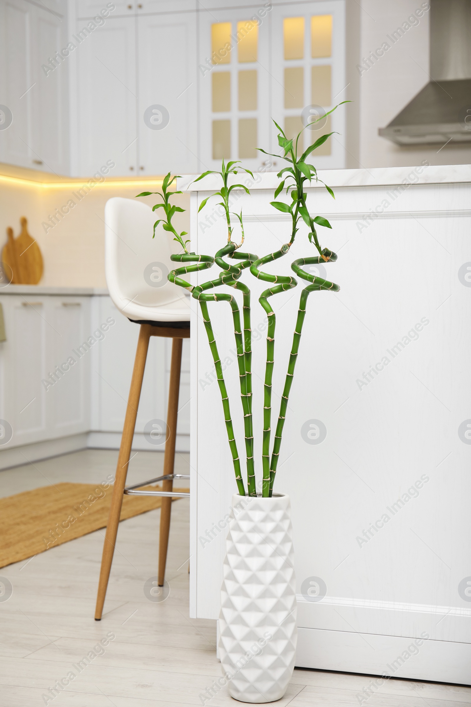 Photo of Vase with green bamboo stems on floor in kitchen. Interior design