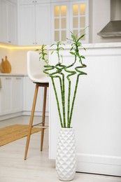 Vase with green bamboo stems on floor in kitchen. Interior design