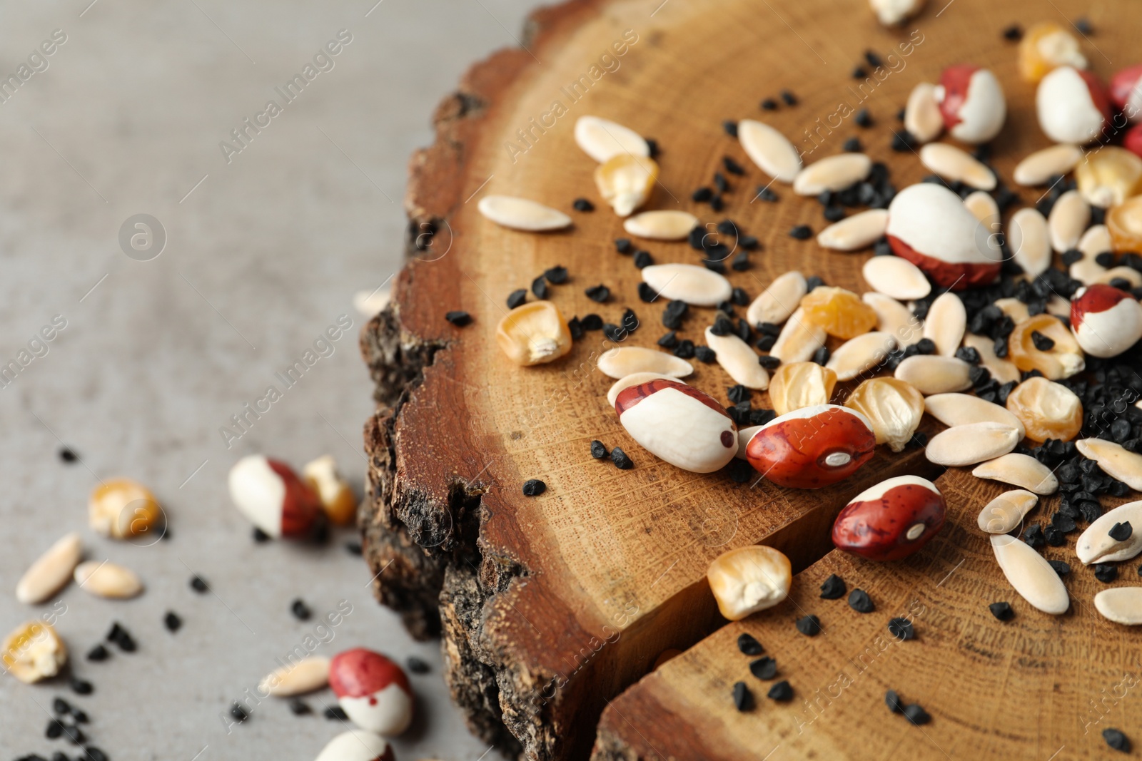 Photo of Mixed vegetable seeds and wooden log on table, closeup