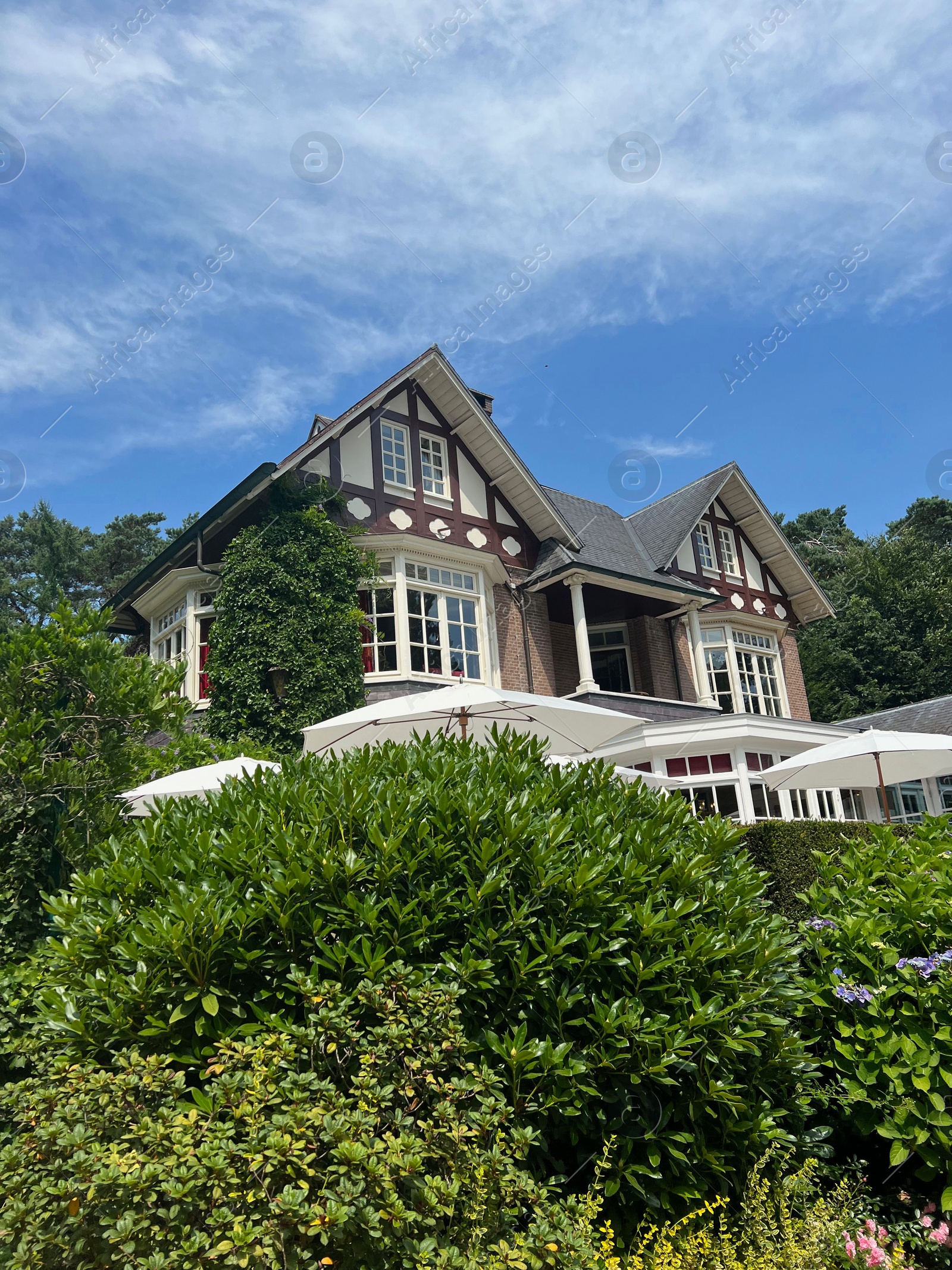 Photo of Picturesque view of beautiful house and plants on sunny day