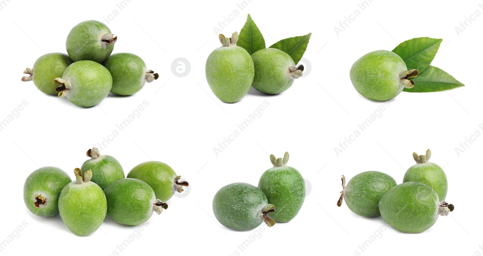 Image of Set of fresh ripe feijoas on white background. Banner design