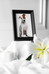 Photo of Frame with picture of dog, burning candle and lily flower on white cloth, closeup. Pet funeral