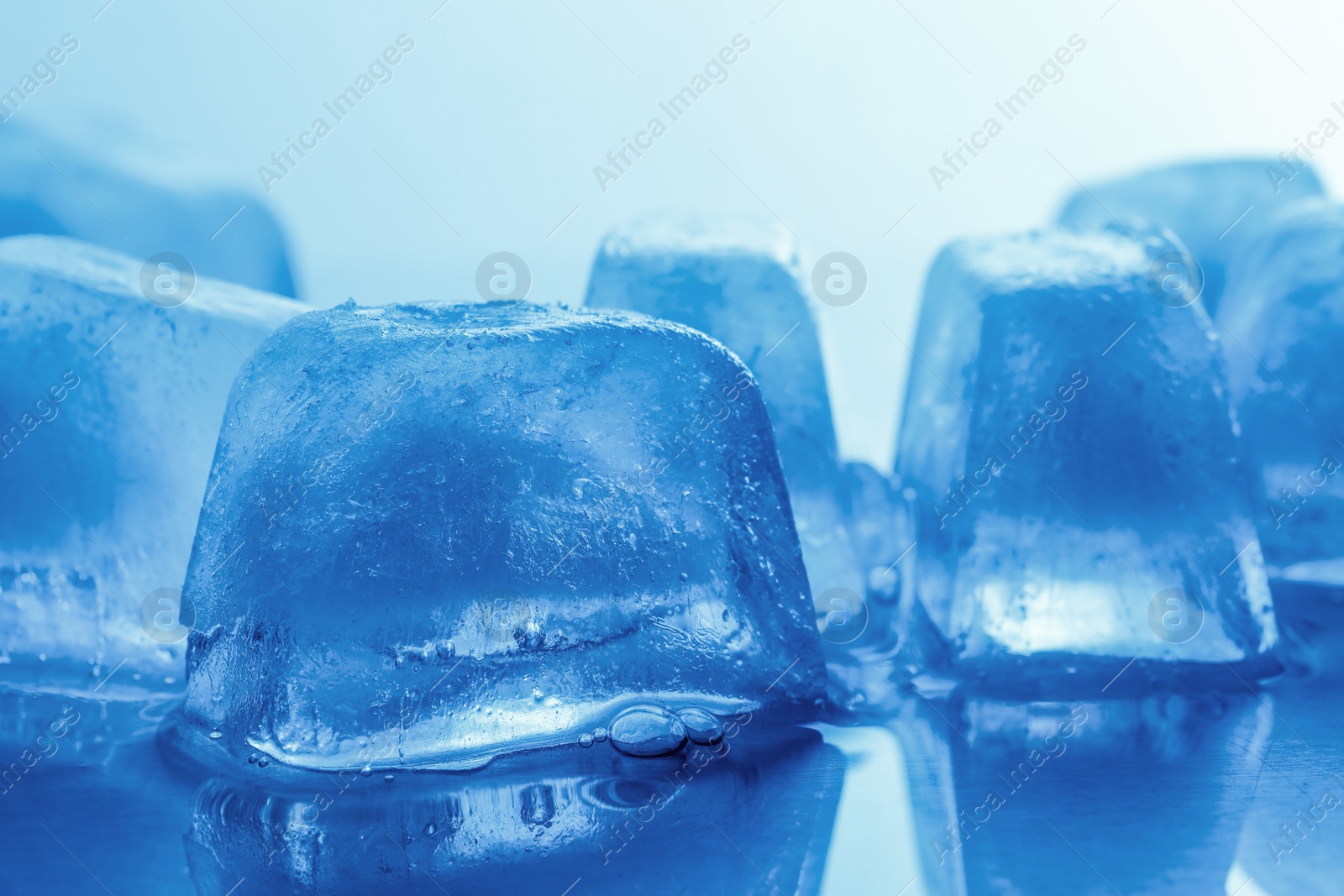 Photo of Crystal clear ice cubes on light blue background, closeup. Color tone effect