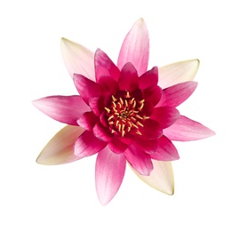 Photo of Beautiful blooming pink lotus flower isolated on white, top view