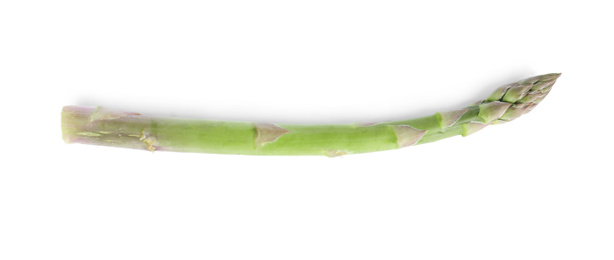 Photo of Fresh raw asparagus isolated on white. Healthy eating