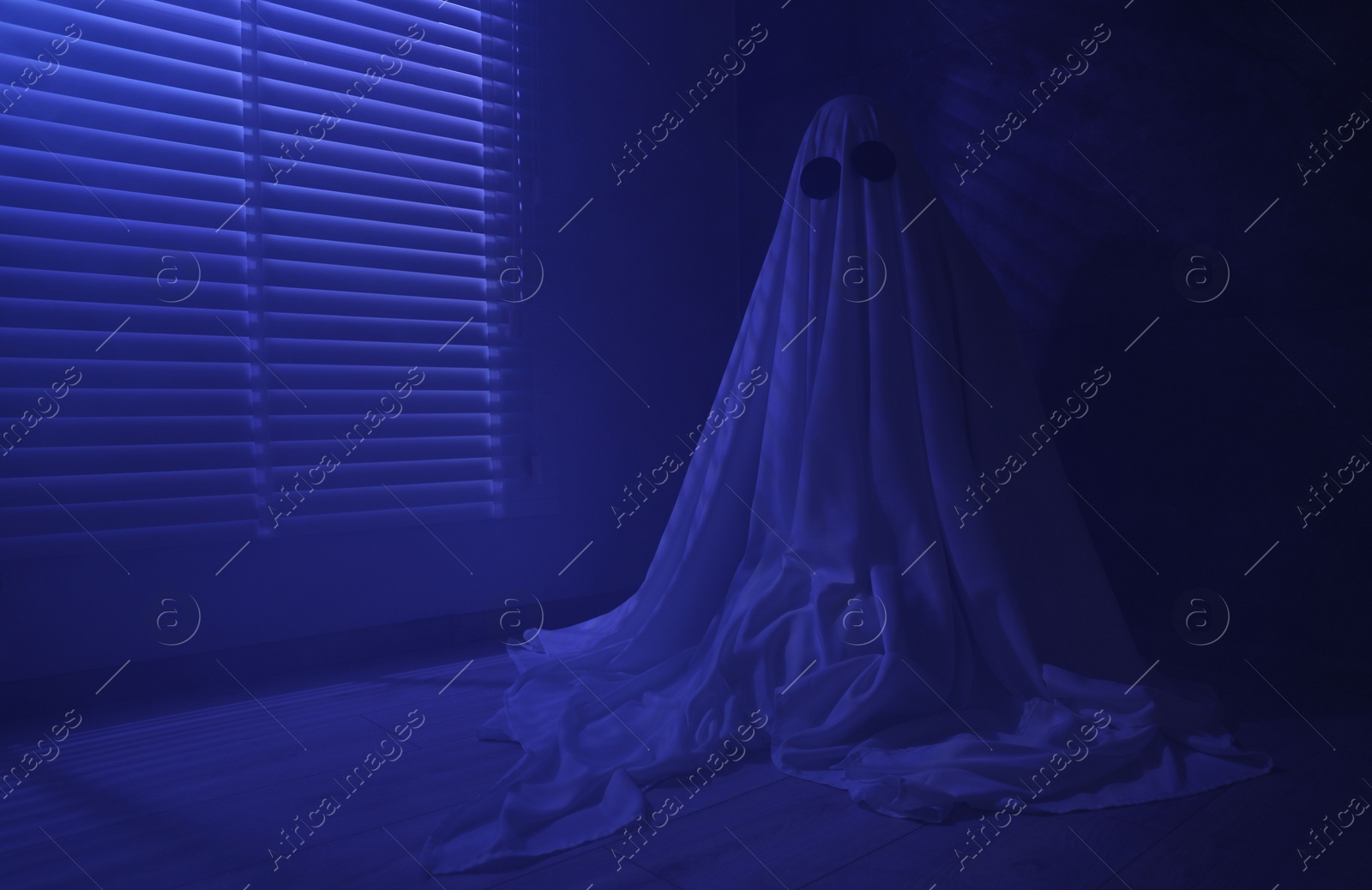 Photo of Creepy ghost. Woman covered with sheet near window in blue light, space for text