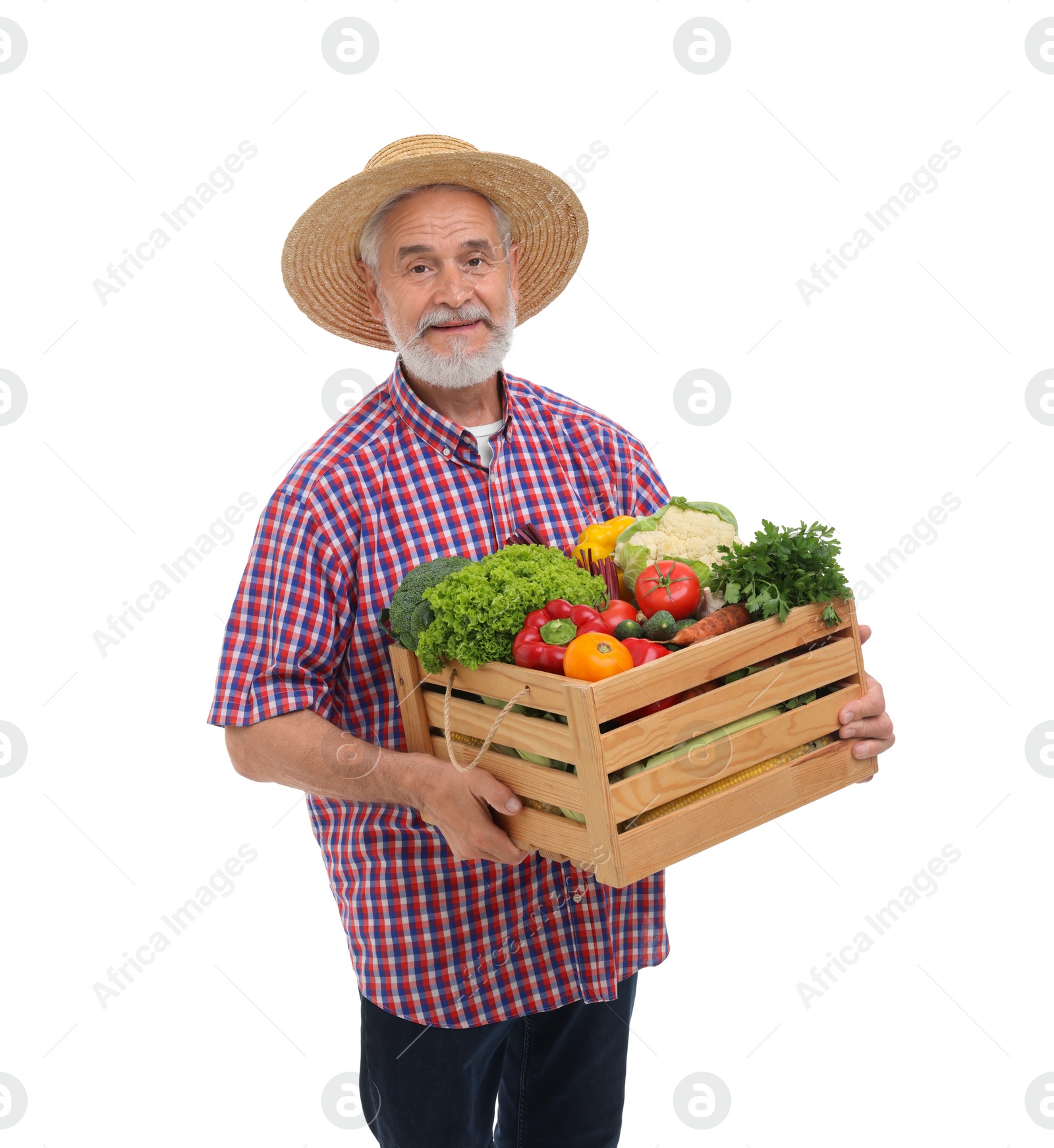 Photo of Harvesting season. Farmer holding wooden crate with vegetables on white background