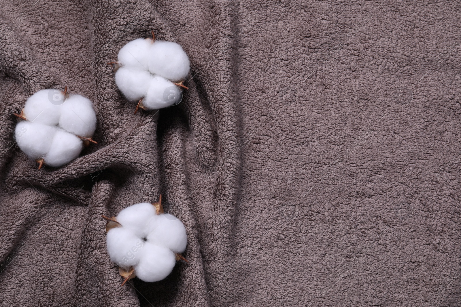 Photo of Fluffy cotton flowers on brown terry towel, top view. Space for text