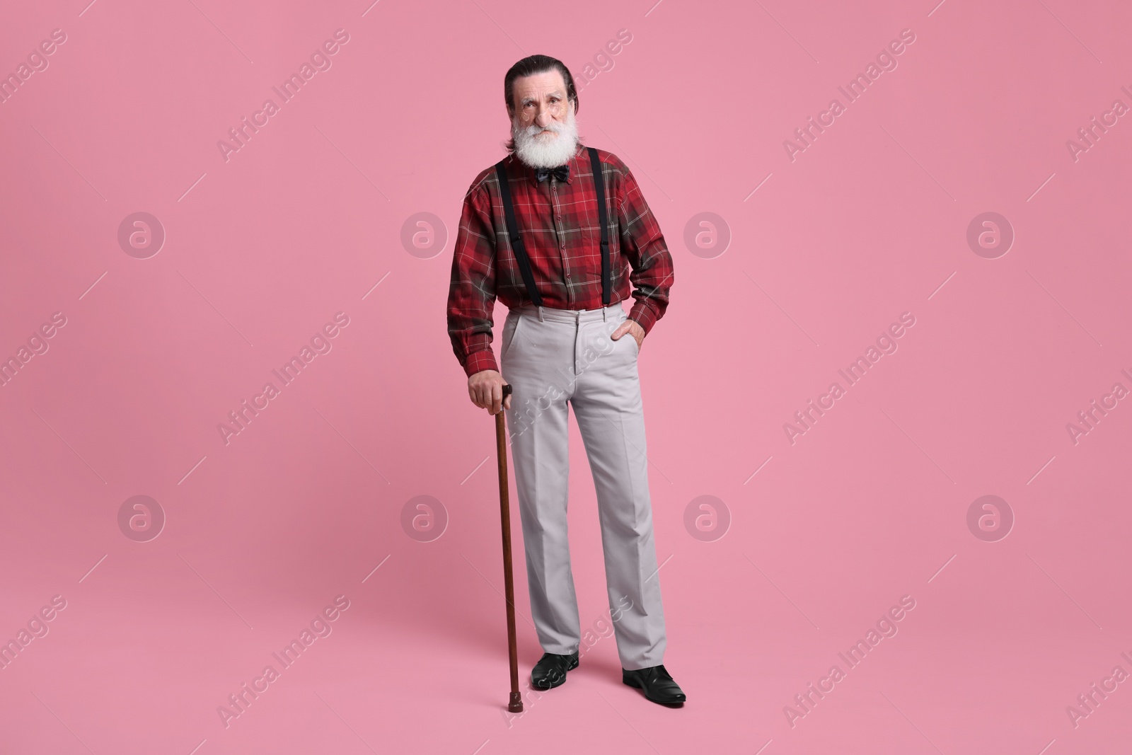 Photo of Senior man with walking cane on pink background