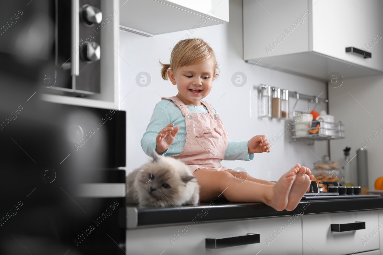 Photo of Cute little child sitting with adorable pet on countertop in kitchen