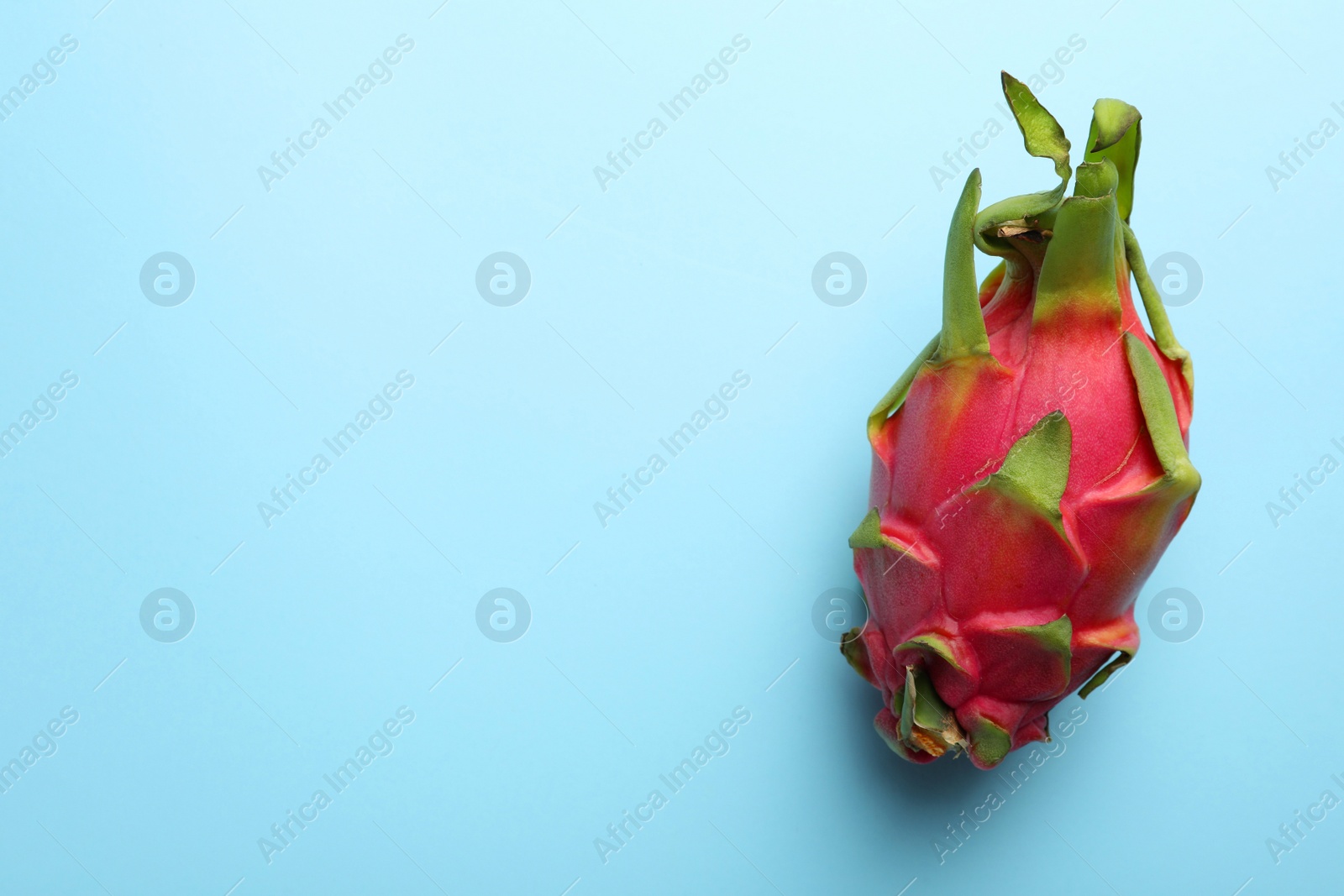 Photo of Delicious pitahaya fruit on turquoise background, top view. Space for text