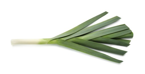 Fresh raw leek isolated on white, top view