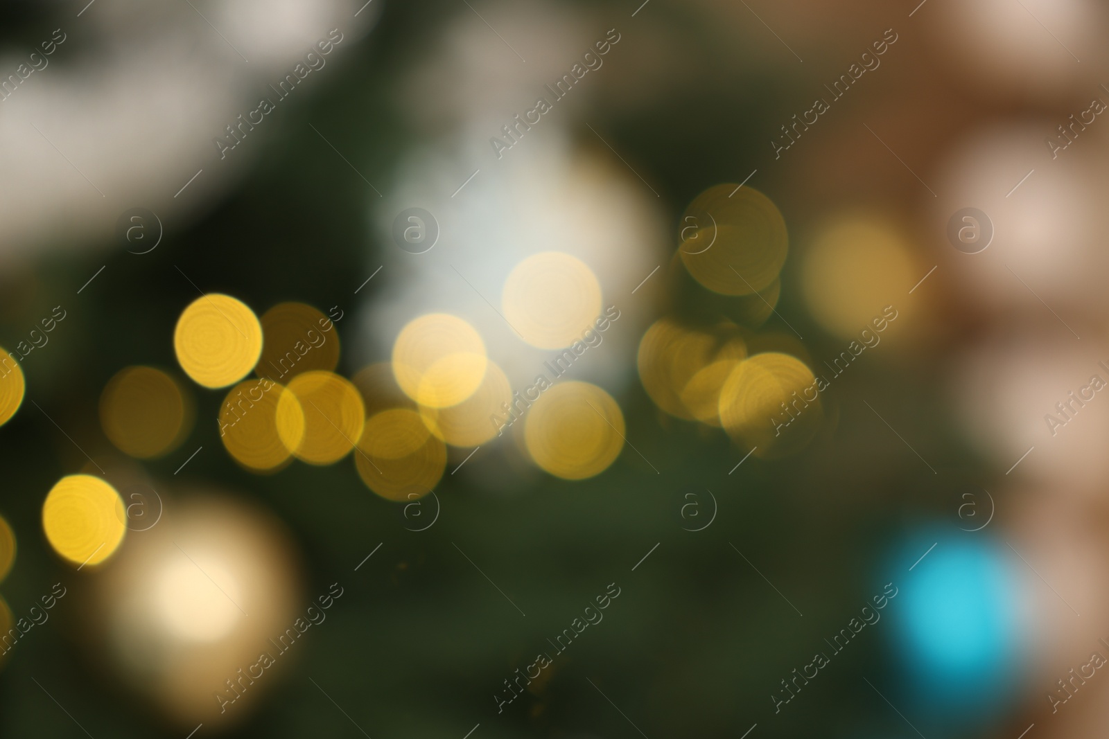 Photo of Christmas tree decorated for holiday, blurred view