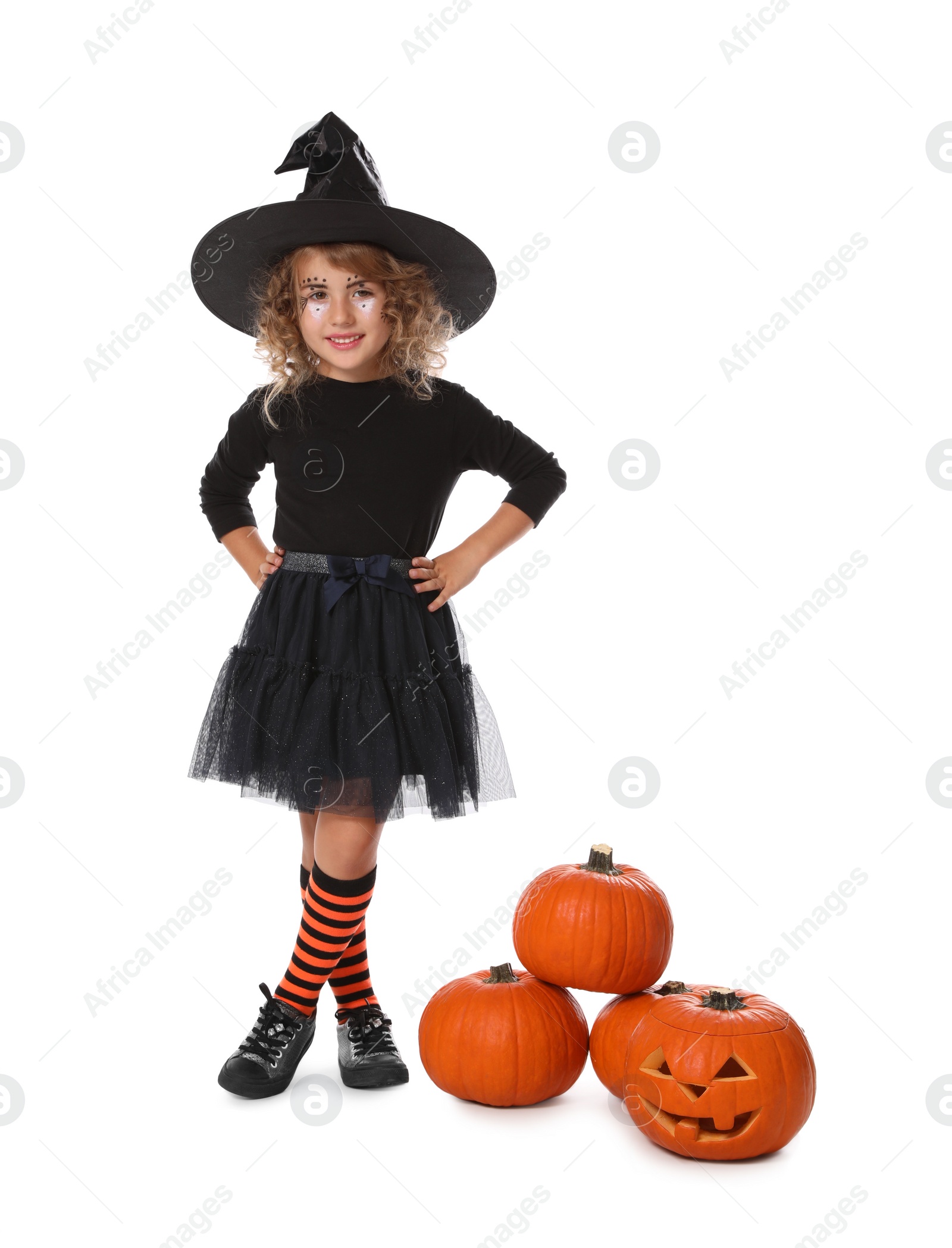 Photo of Cute little girl wearing Halloween costume and pumpkins on white background