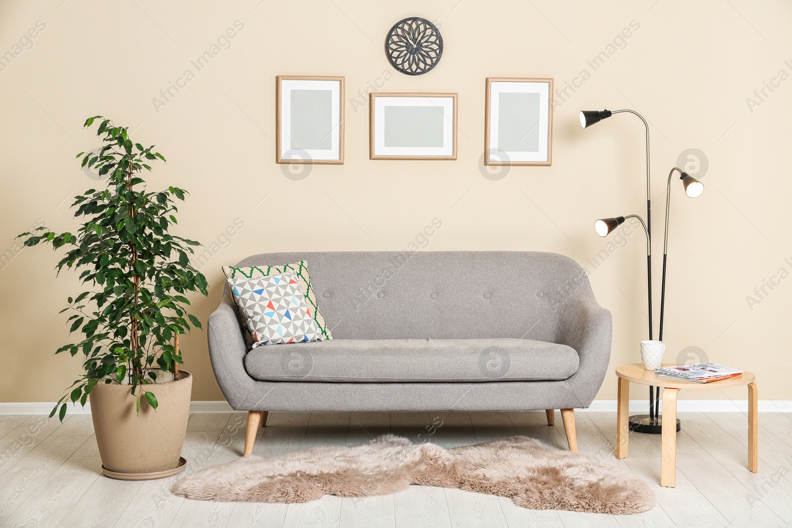 Photo of Stylish living room interior with ficus and sofa near light wall