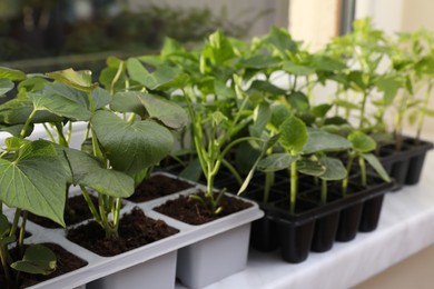 Photo of Seedlings growing in plastic containers with soil on windowsill, closeup. Gardening season