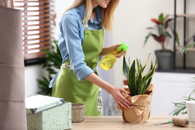 Photo of Young woman taking care of houseplant indoors, closeup. Interior element