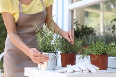 Photo of Young woman taking care of home plants at white wooden table outdoors, closeup