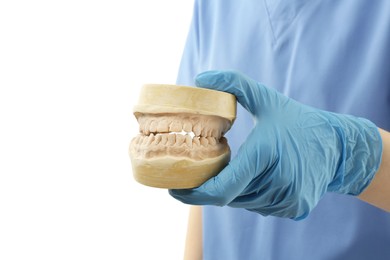 Photo of Doctor holding dental model with jaws on white background, closeup. Cast of teeth