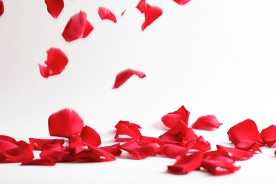 Photo of Beautiful rose petals falling on light background