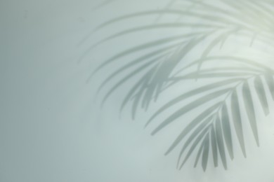 Photo of Shadow of tropical plant leaves on light background, space for text