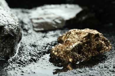 Photo of Shiny gold nugget on wet stones, closeup. Space for text