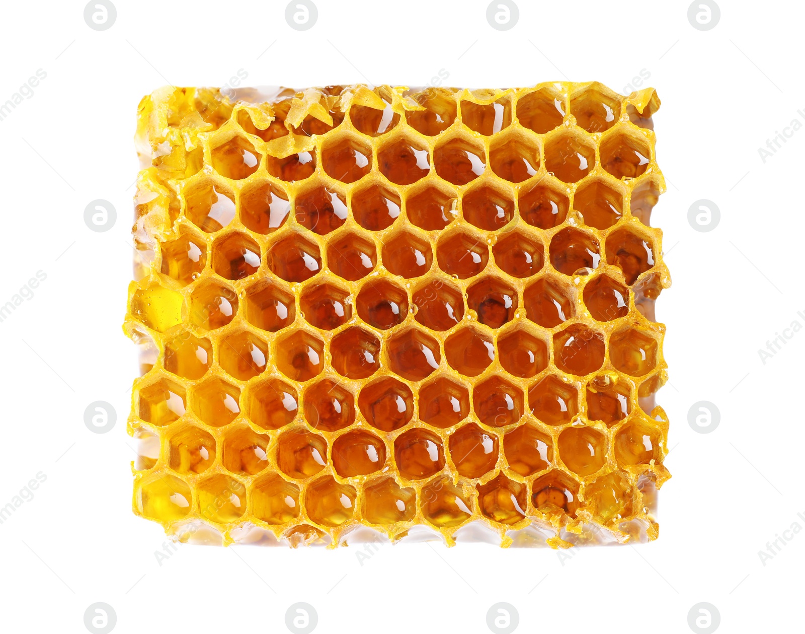 Photo of Fresh honeycomb on white background, top view